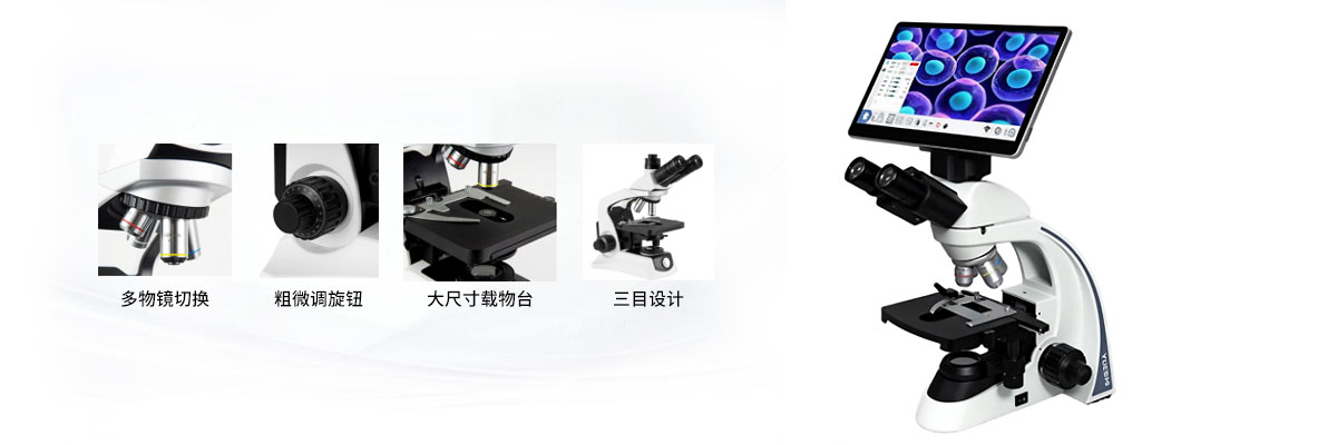 �人�����Զ���