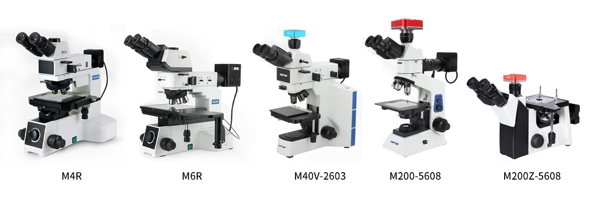 ������΢��